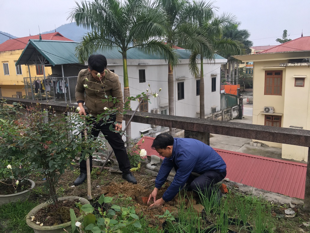 VKSND huyện Lục Yên tổ chức trồng cây đầu năm mới Tân Sửu năm 2021